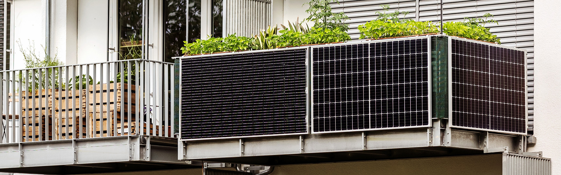 EnergyVision GmbH in Cham