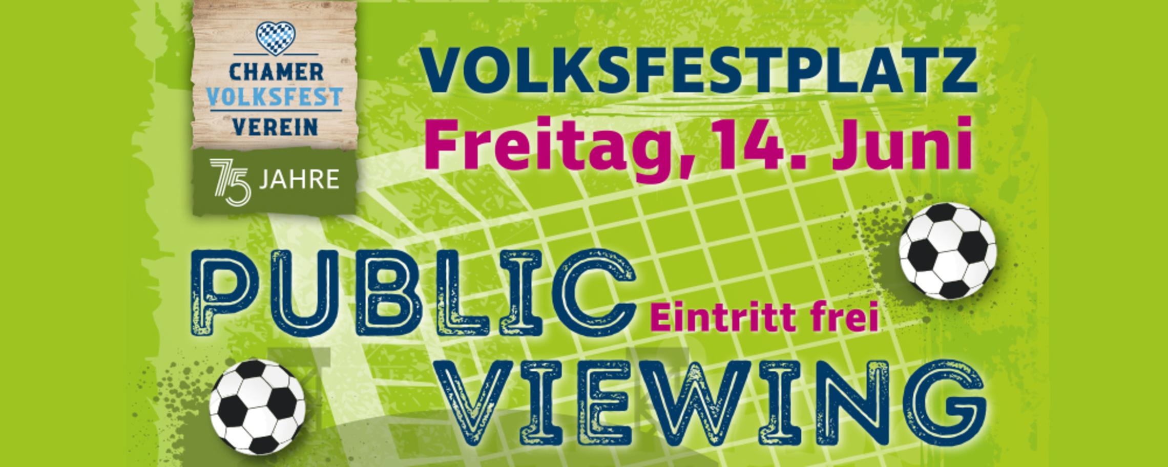 Public Viewing in Cham – Energy Vision ist dabei! bei EnergyVision GmbH in Cham