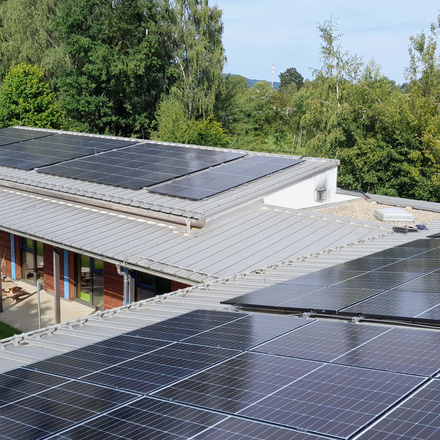 Loibling bei EnergyVision GmbH in Cham